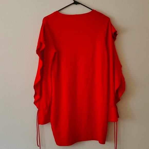 ZARA Ruffle Dress - Picture 3 of 3